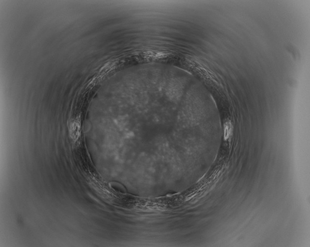 X0000113601011200909251152