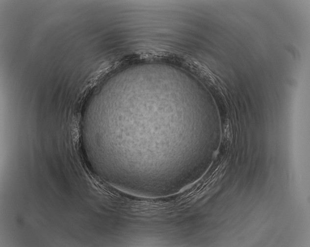 X0000113601012200909251152