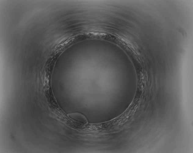 X0000113601013200909251152