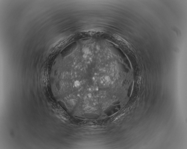 X0000113601014200909251152