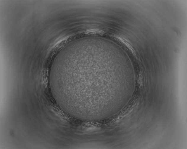 X0000113601015200909251152