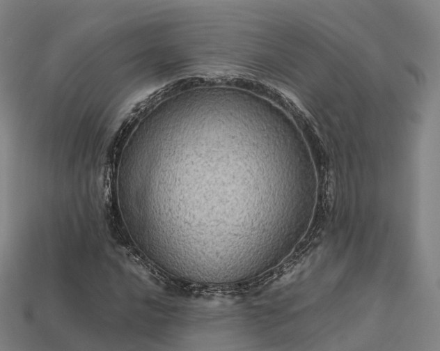 X0000113601016200909251152