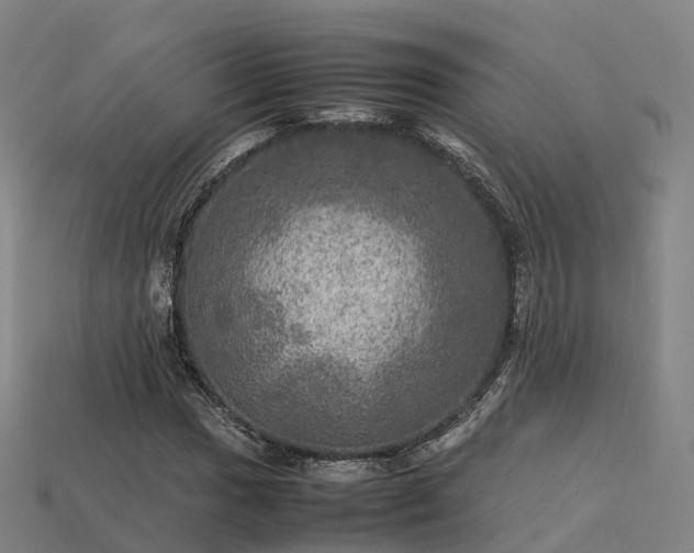 X0000113601017200909251152