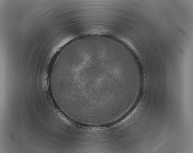 X0000113601018200909251152