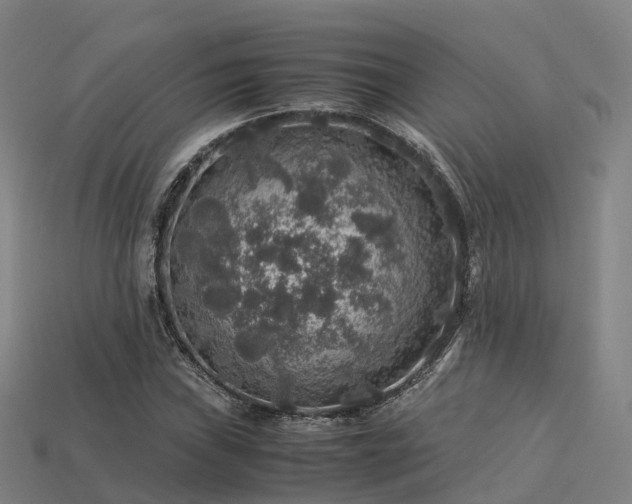 X0000113601019200909251152