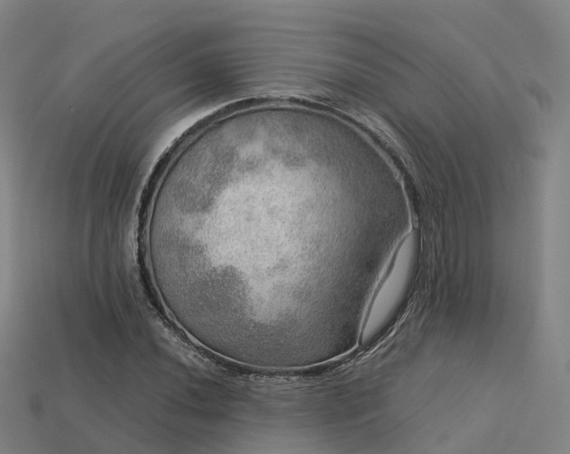 X0000113601020200909251152