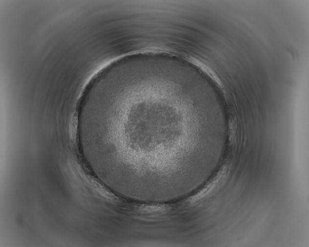 X0000113601021200909251152