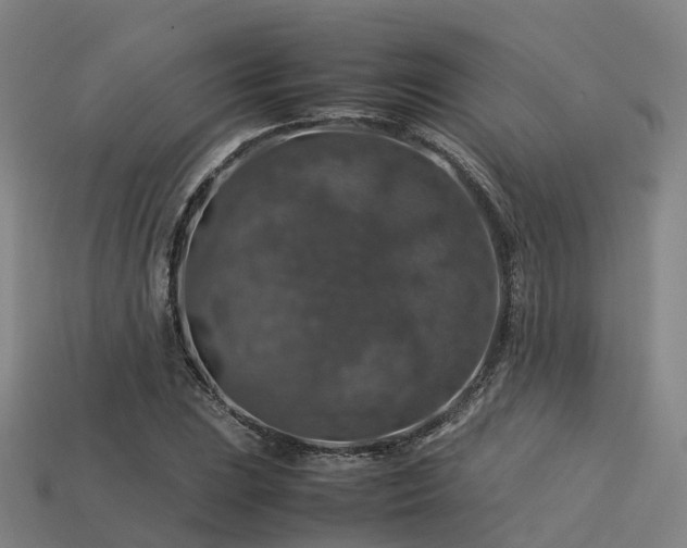 X0000113601023200909251152