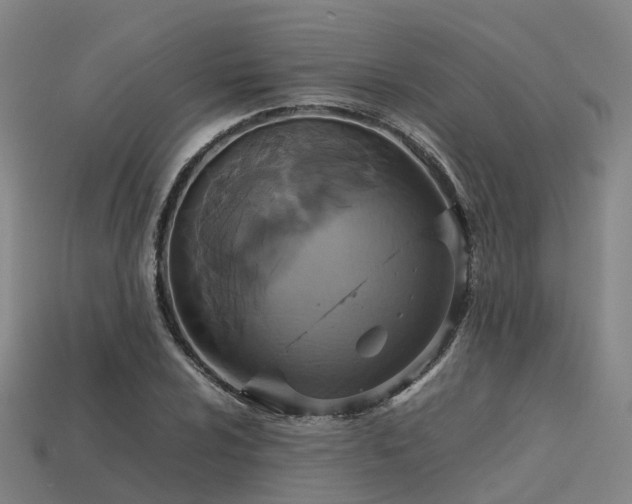 X0000113601024200909251152