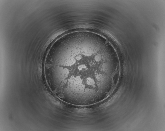 X0000113601025200909251152