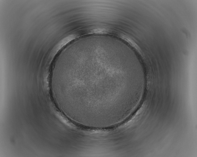 X0000113601026200909251152