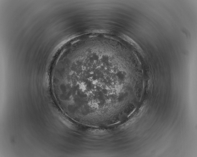 X0000113601027200909251152