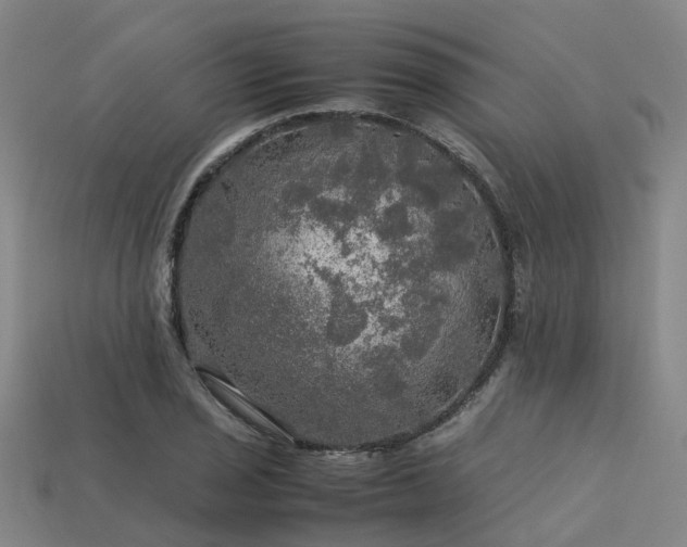 X0000113601029200909251152