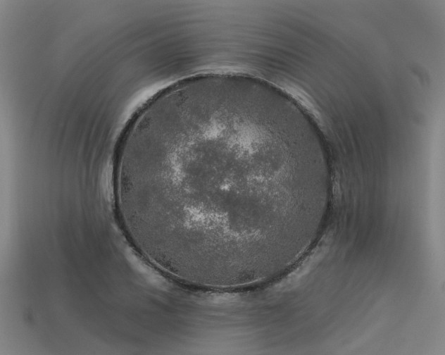 X0000113601030200909251152