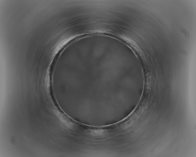 X0000113601031200909251152