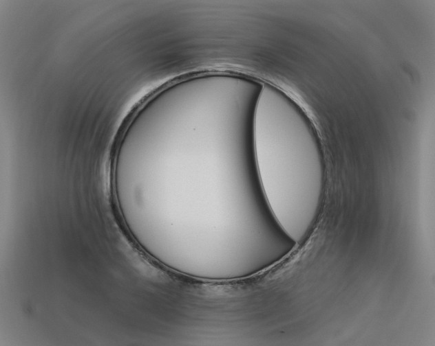 X0000113601032200909251152