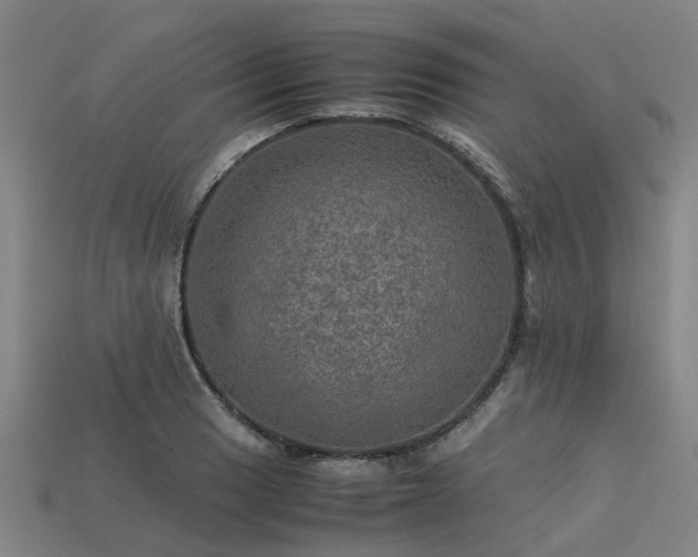 X0000113601033200909251152