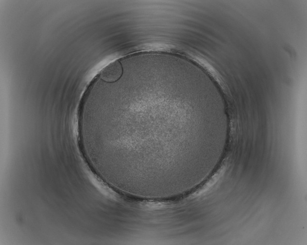 X0000113601034200909251152