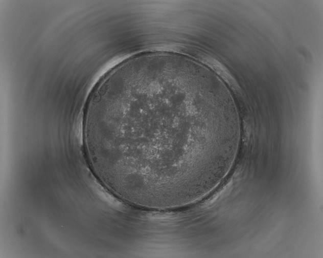 X0000113601036200909251152