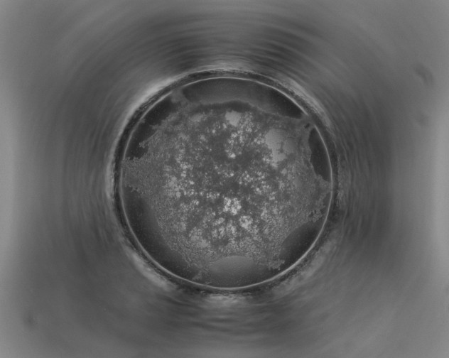 X0000113601037200909251152