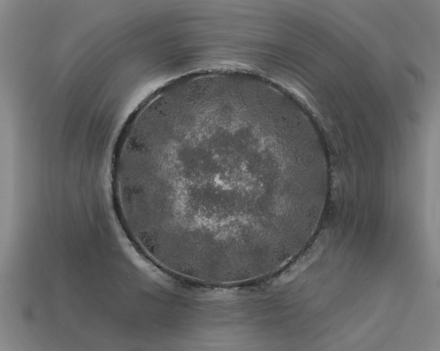 X0000113601038200909251152