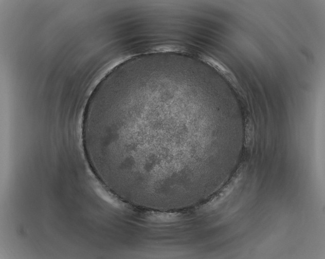 X0000113601039200909251152