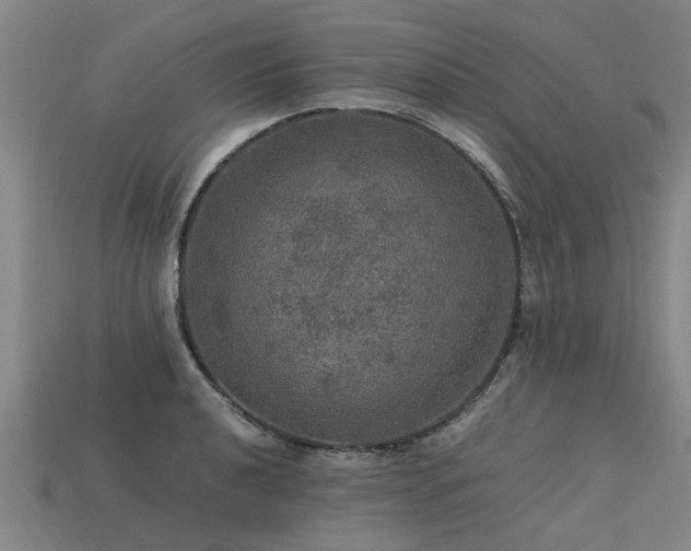 X0000113601040200909251152