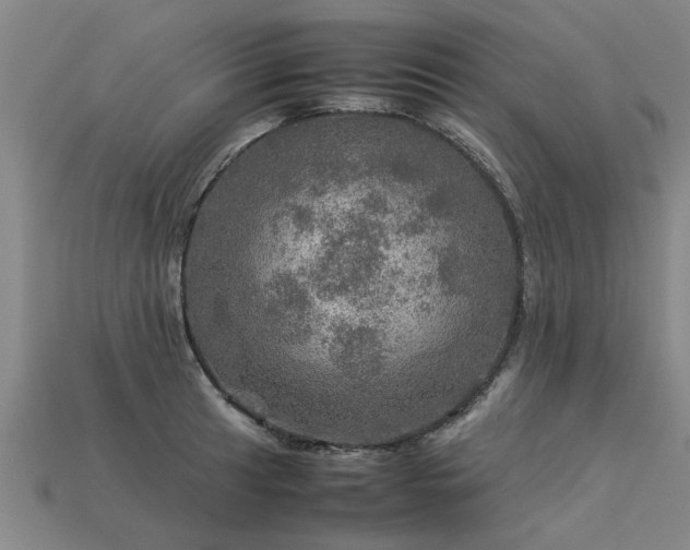 X0000113601041200909251152