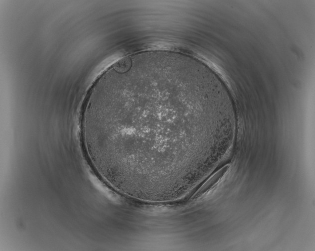 X0000113601042200909251152