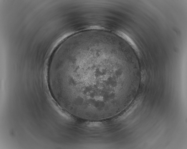 X0000113601043200909251152