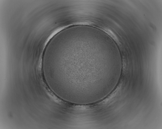 X0000113601044200909251152