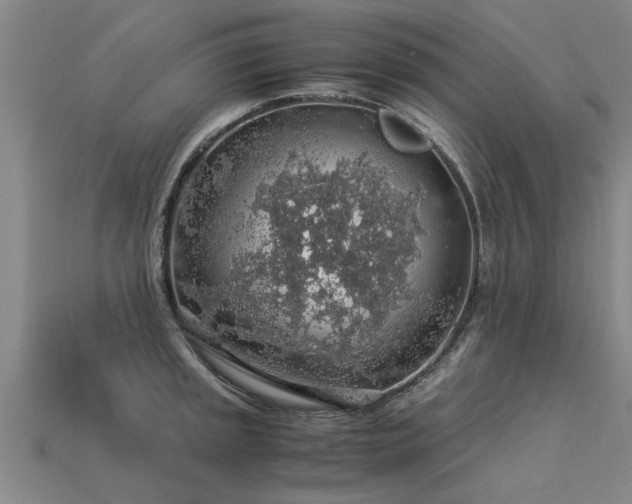 X0000113601045200909251152