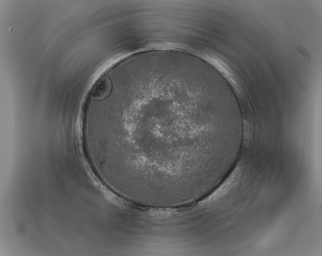 X0000113601046200909251152