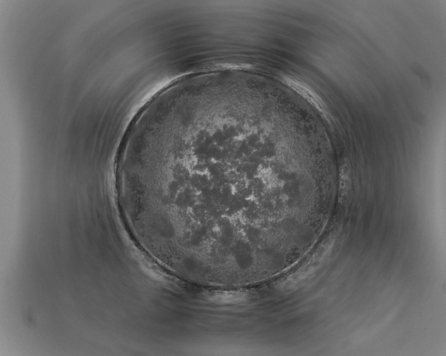 X0000113601047200909251152