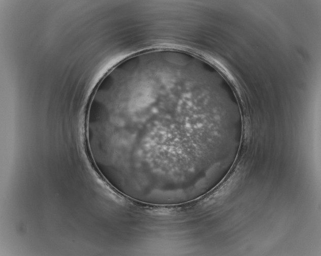 X0000113601048200909251152