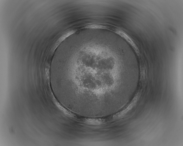 X0000113601049200909251152