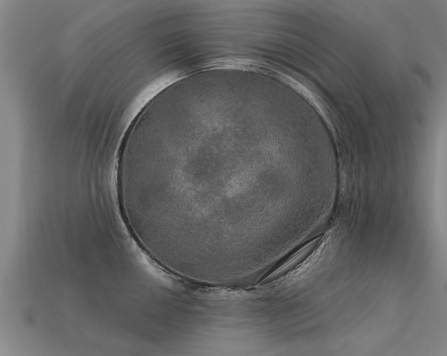 X0000113601050200909251152