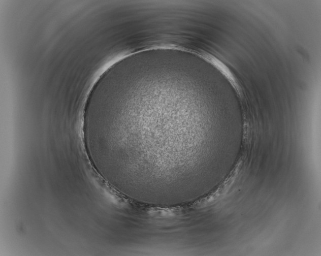 X0000113601051200909251152