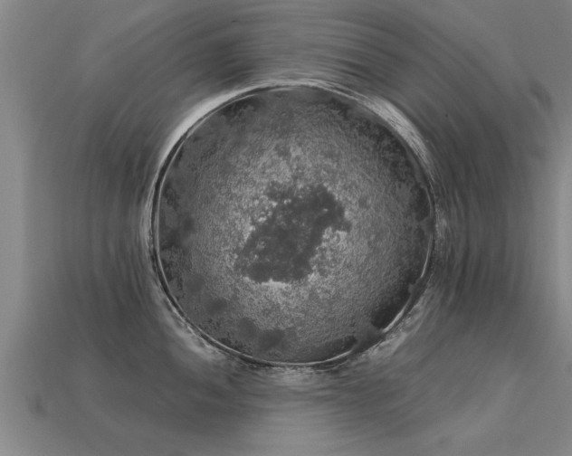 X0000113601052200909251152