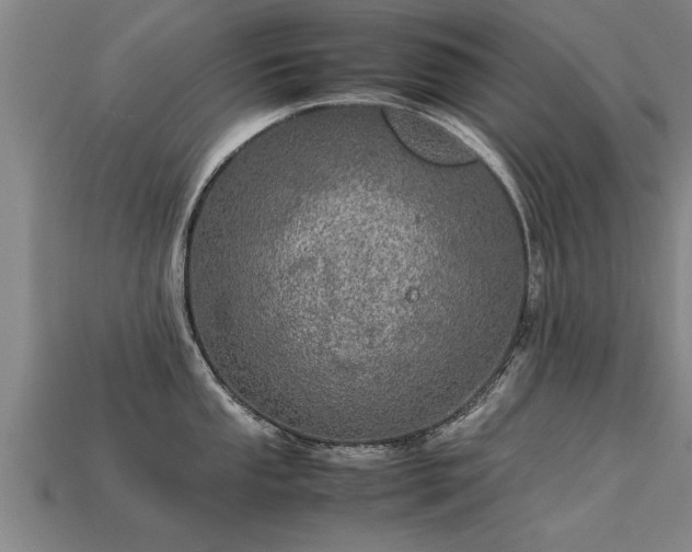 X0000113601053200909251152