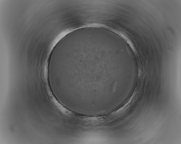 X0000113601054200909251152