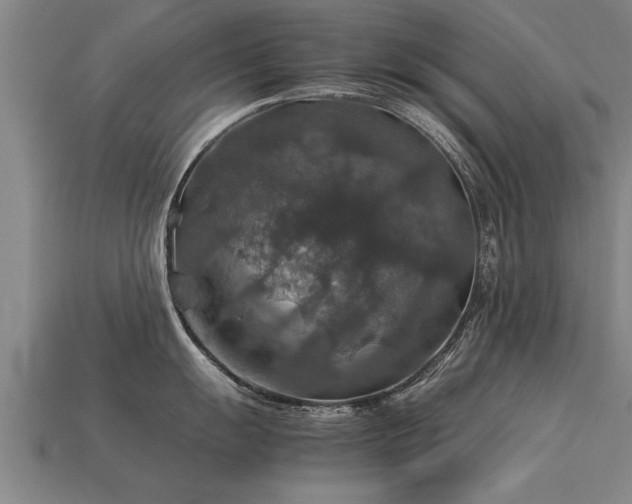 X0000113601055200909251152