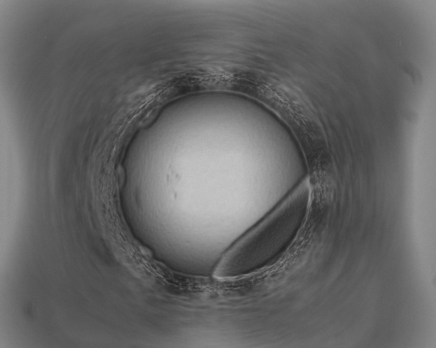 X0000113601057200909251151