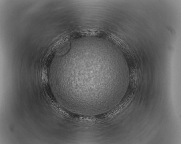 X0000113601058200909251151