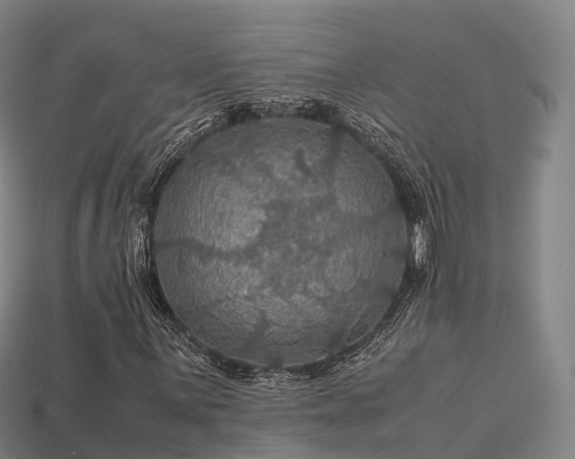 X0000113601059200909251151