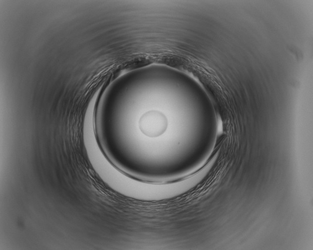 X0000113601060200909251151