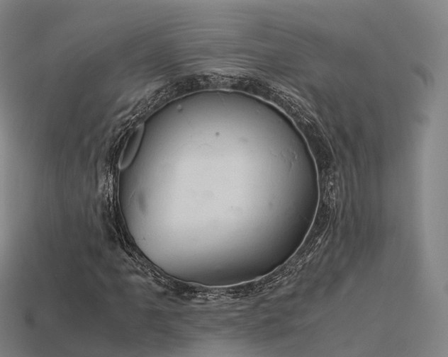 X0000113601061200909251151