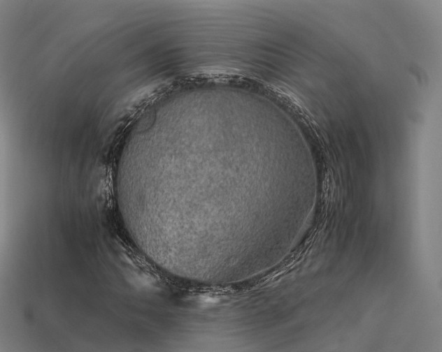 X0000113601062200909251151