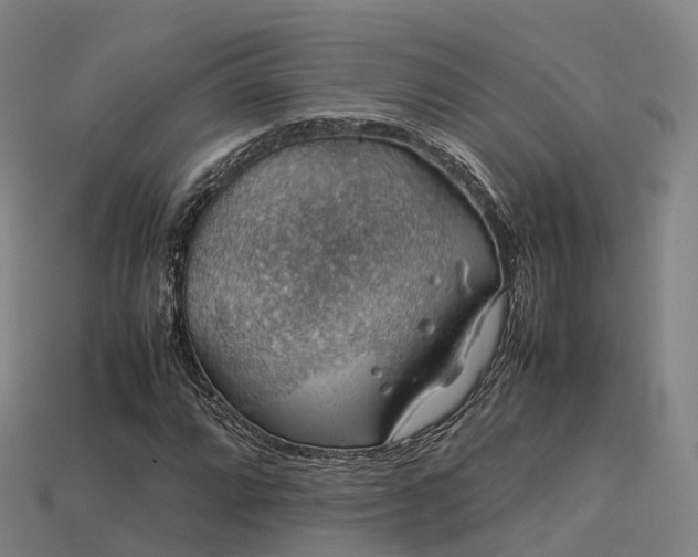 X0000113601064200909251151