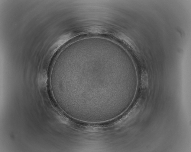 X0000113601065200909251151